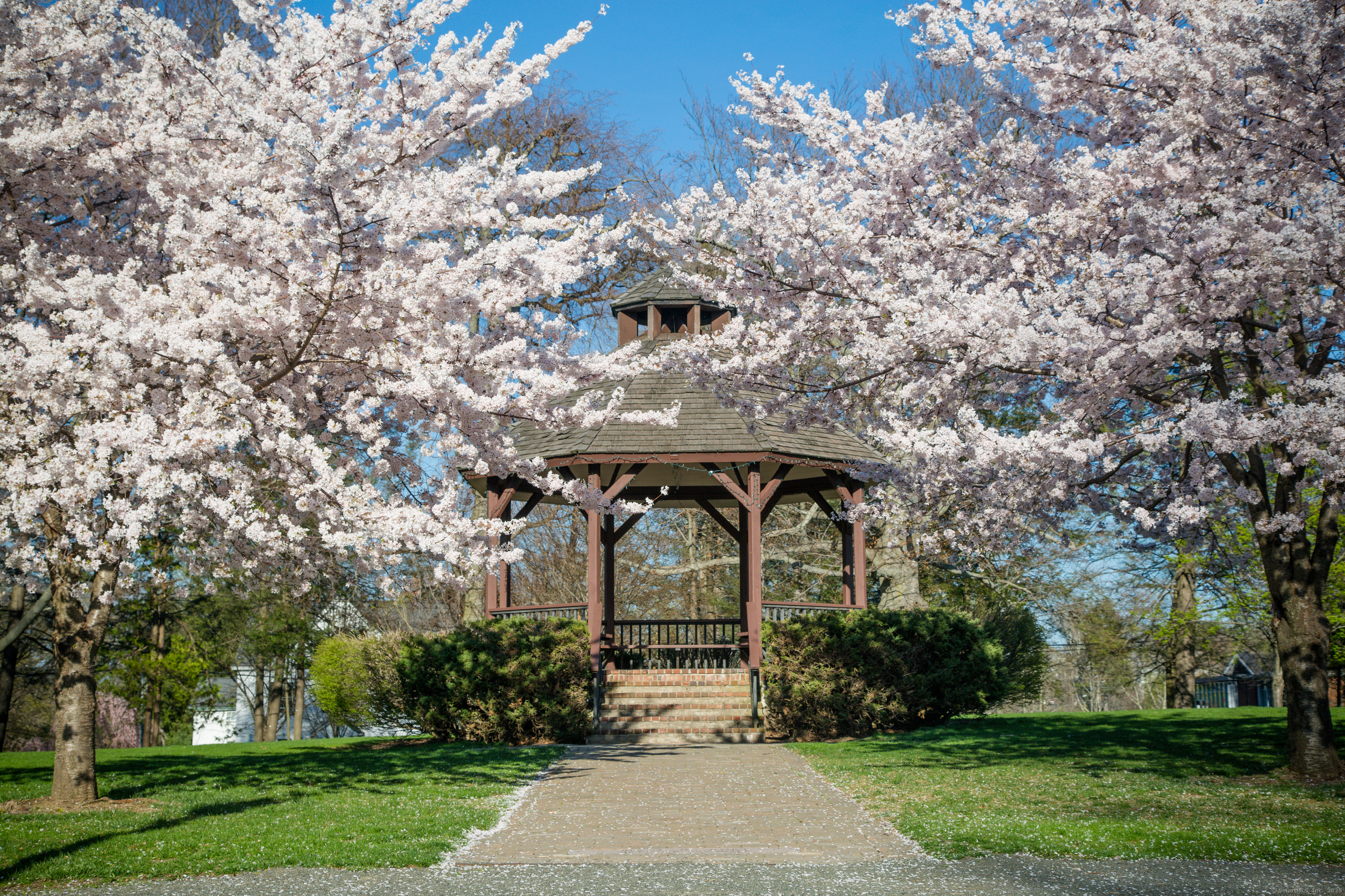 4 Sandlewood Lane #4, Ridgefield, Connecticut image 26