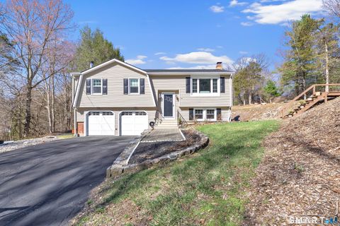 Photo of 52 Cook Lane, Beacon Falls, CT 06403 (MLS # 24165628)