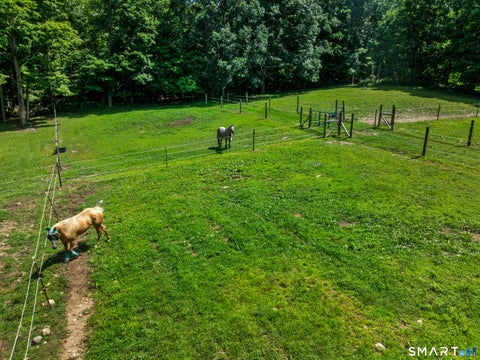 Tiny photo for 138 Minortown Road, Woodbury, CT 06798 (MLS # 24199540)