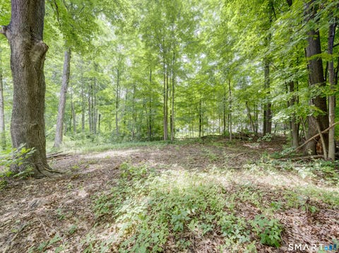 Tiny photo for 22 Mines Road, Bristol, CT 06010 (MLS # 24189939)