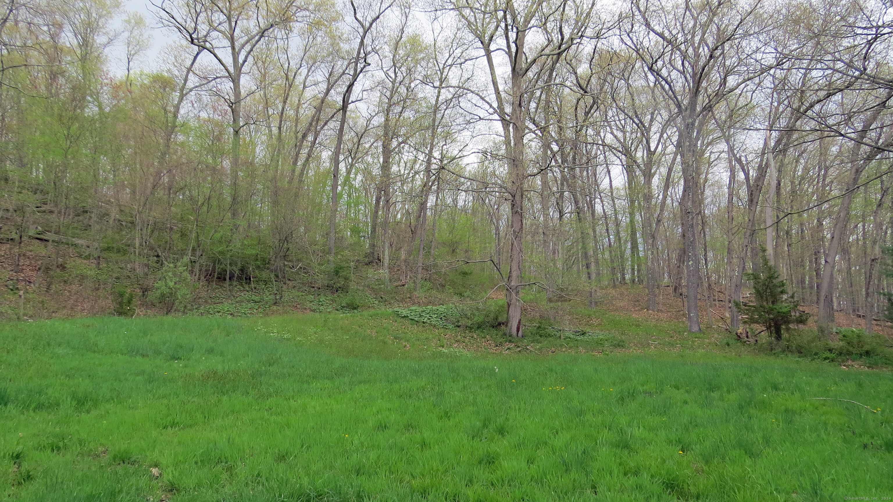 198 Cook Lane, Beacon Falls, Connecticut image 4