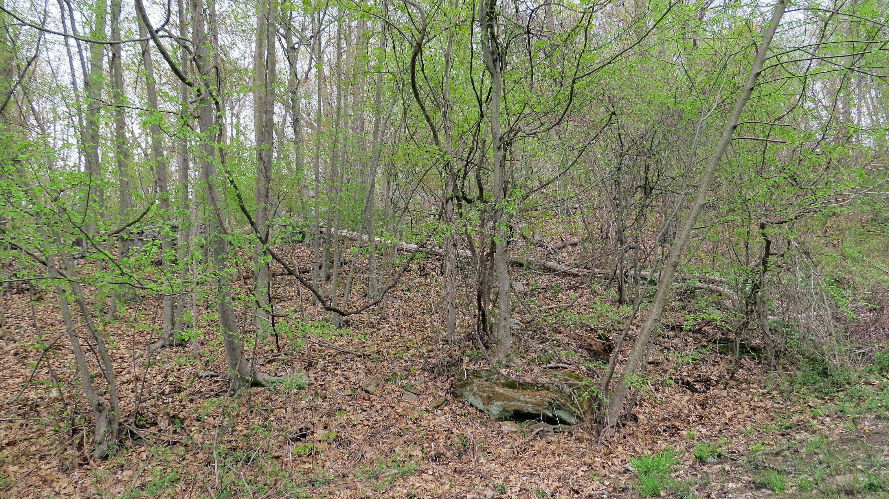 198 Cook Lane, Beacon Falls, Connecticut image 5