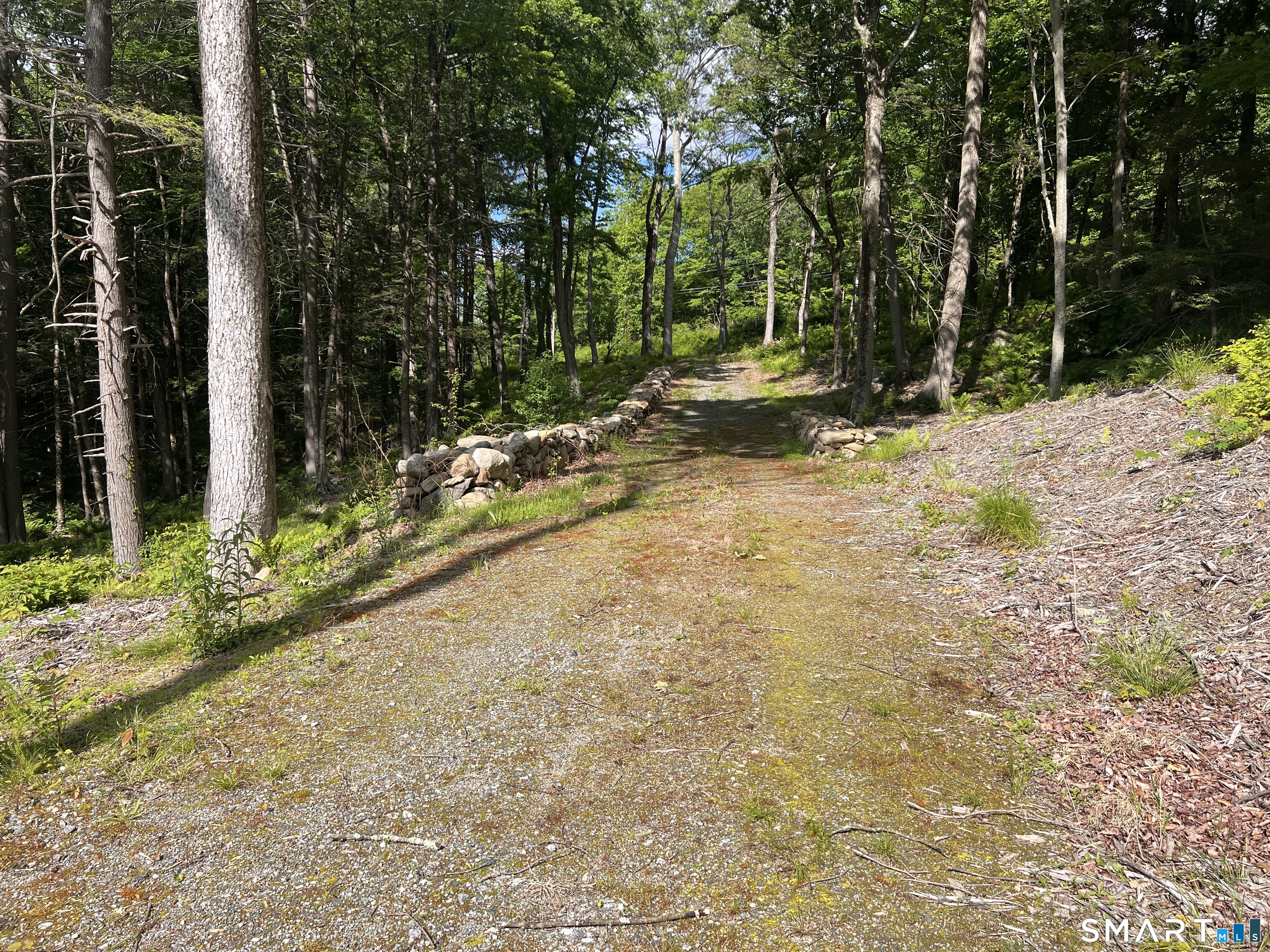 Cotton Hill Road