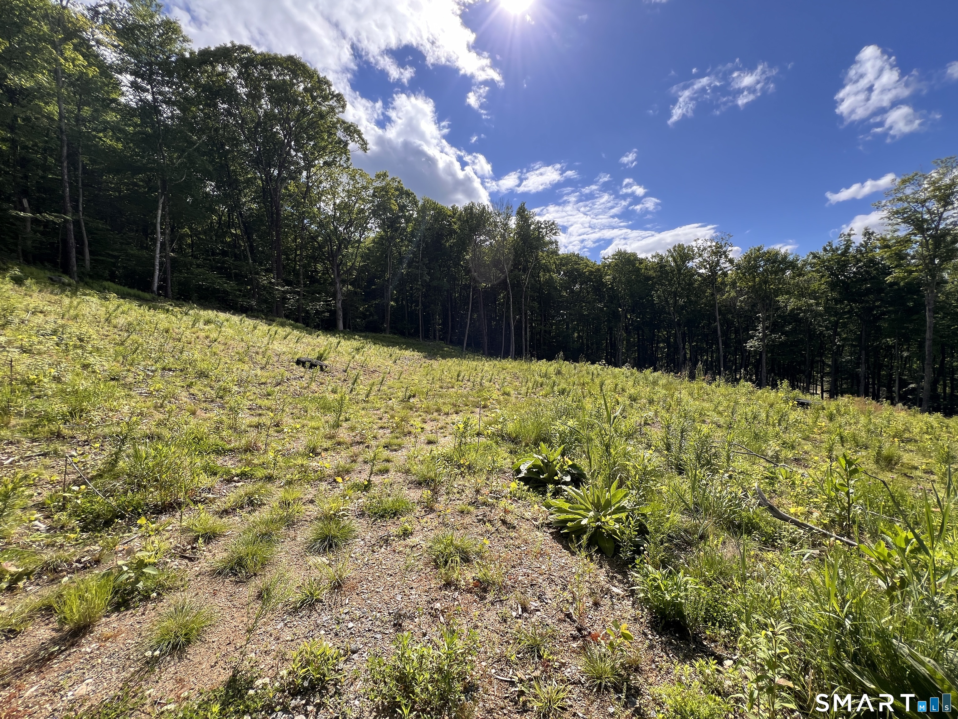 Cotton Hill Road
