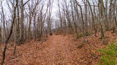 Tiny photo for 17 Wall Street, Bolton, CT 06043 (MLS # 24143404)