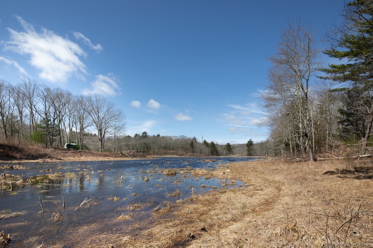 1233 Bantam Road