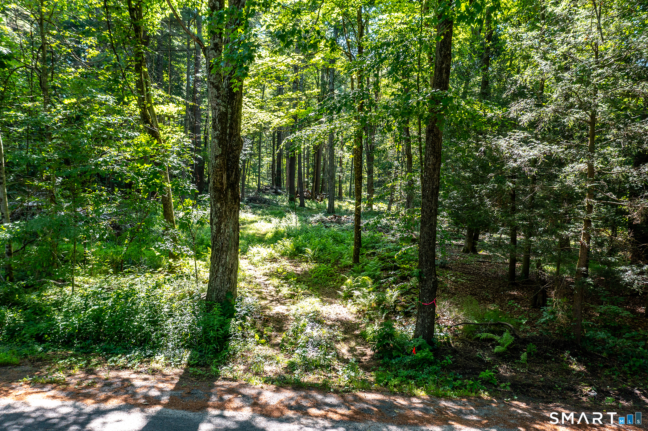 00 Great Hollow Road