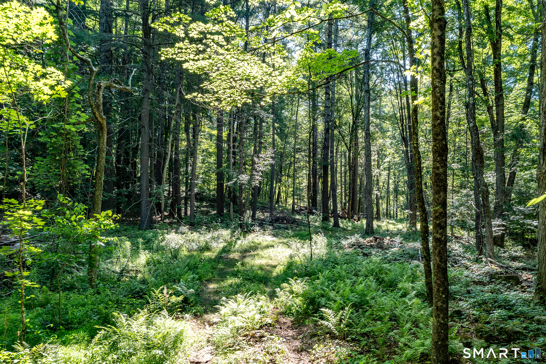 00 Great Hollow Road