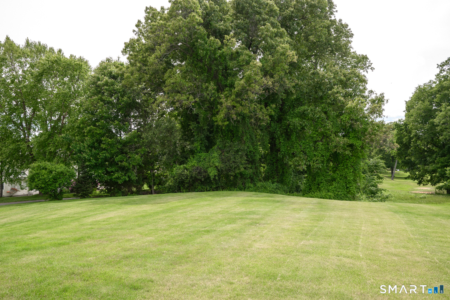 97 Island Green