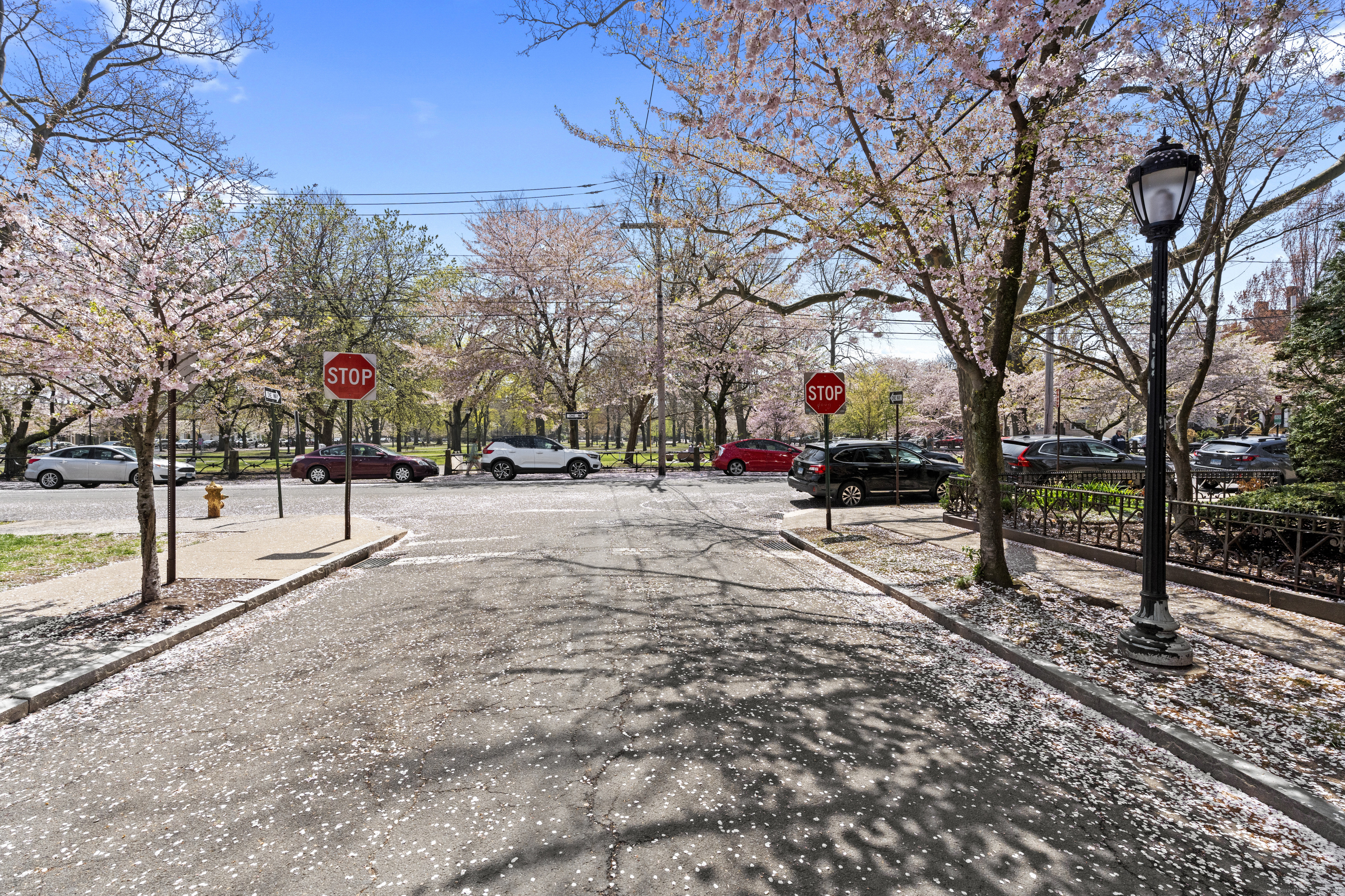 12 Hughes Place #12, New Haven, Connecticut image 35