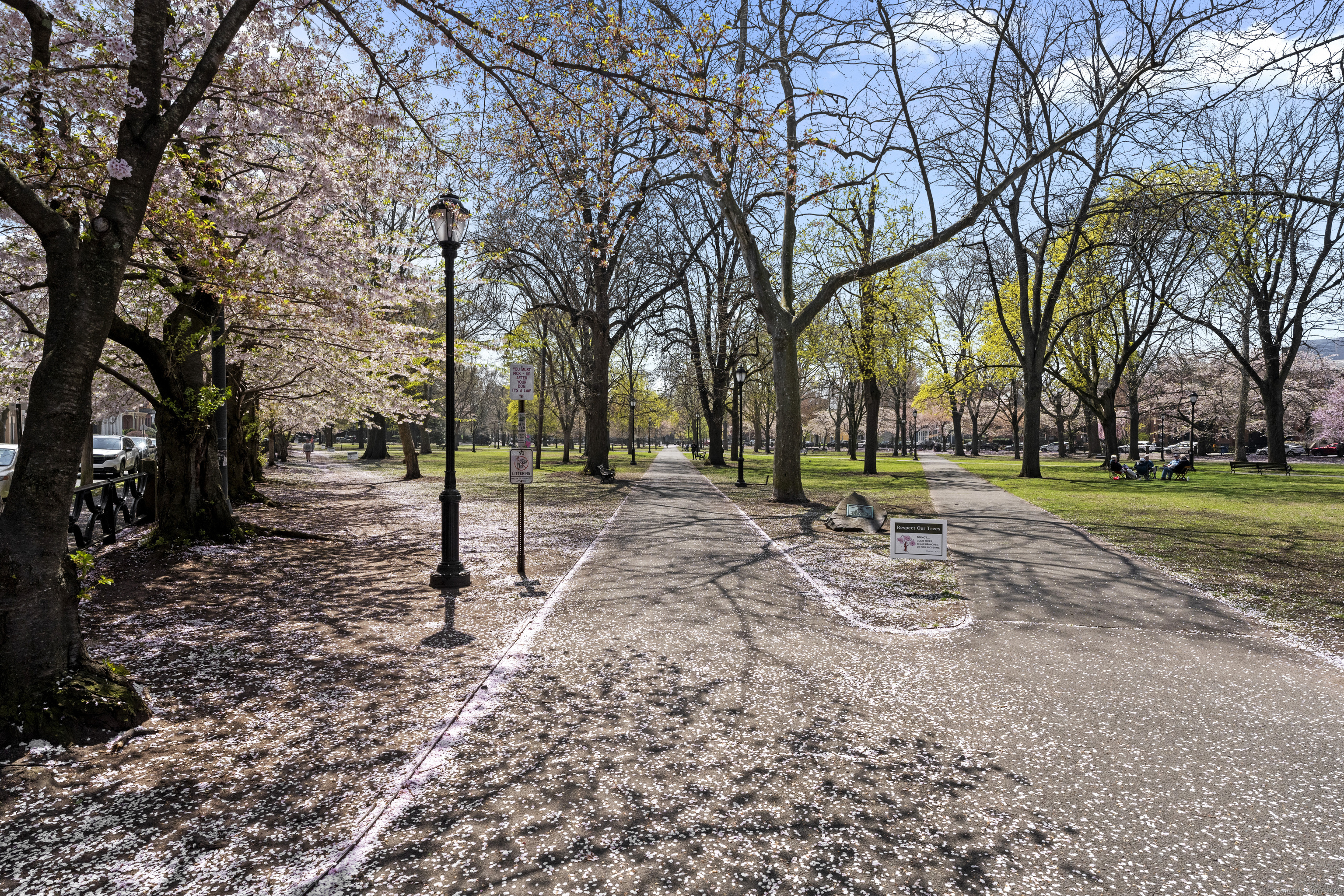 12 Hughes Place #12, New Haven, Connecticut image 37