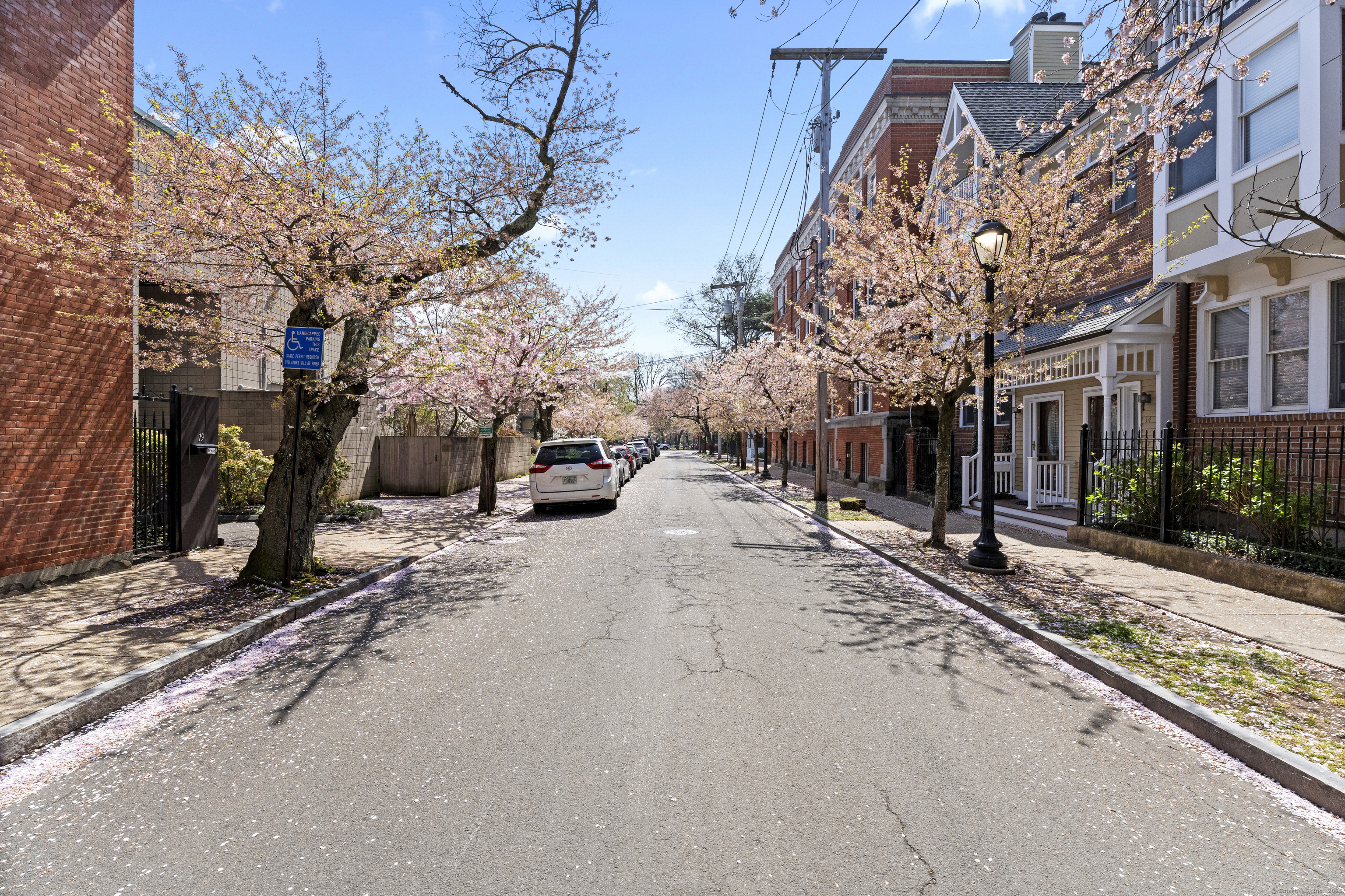 12 Hughes Place #12, New Haven, Connecticut image 3
