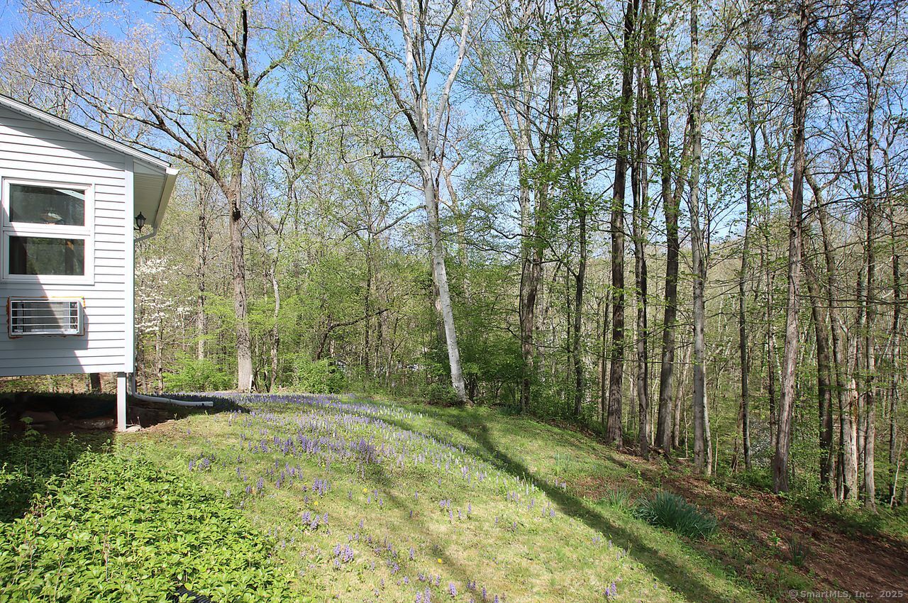 175 Old Lane Road, Hamden, Connecticut image 36