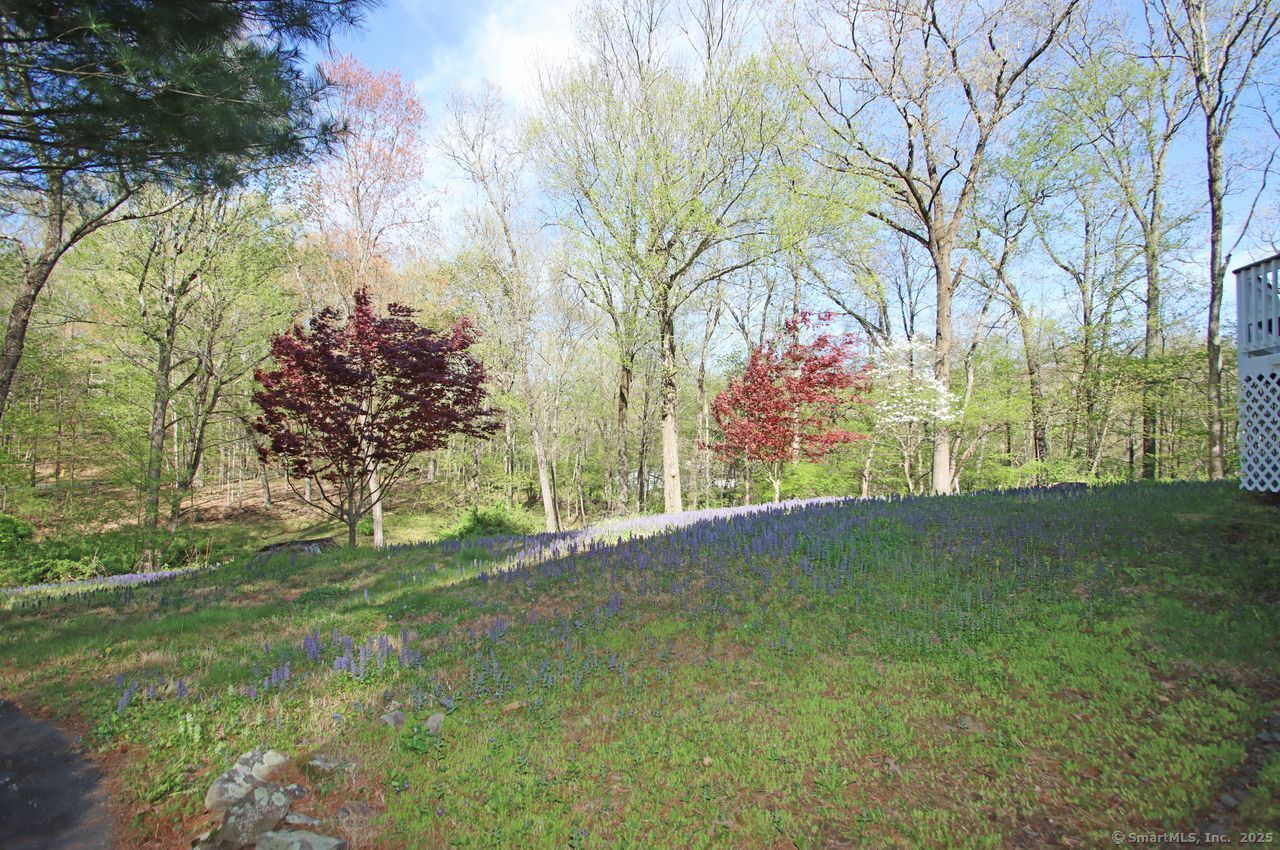 175 Old Lane Road, Hamden, Connecticut image 38