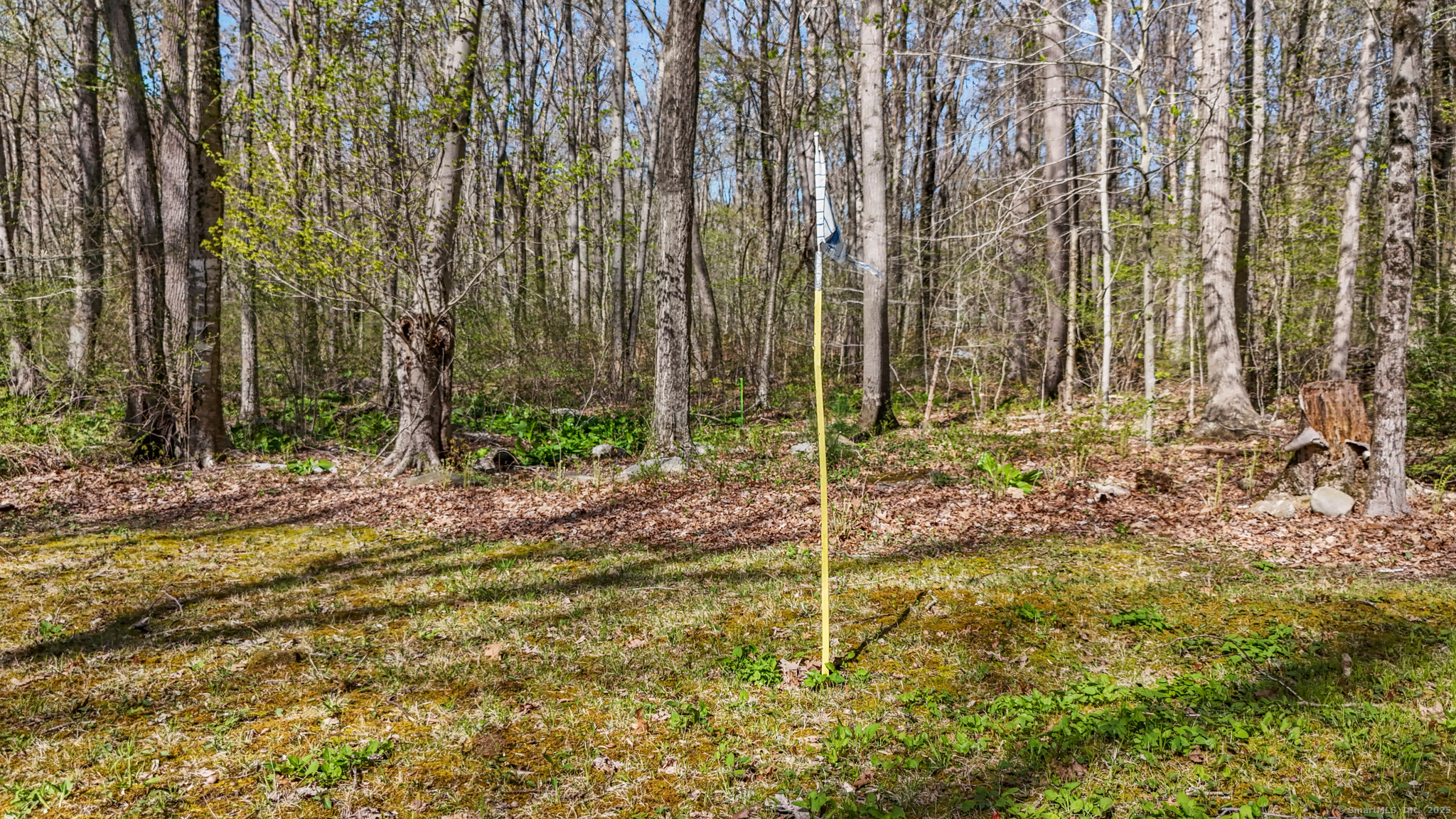 182 Durham Road, Madison, Connecticut image 36