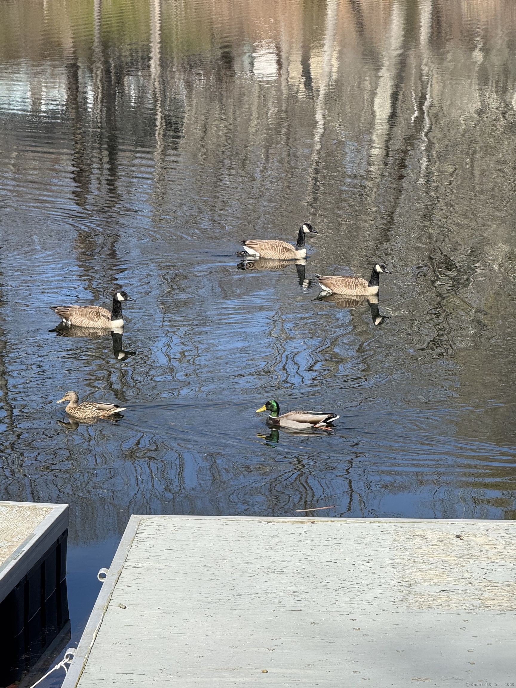 134 Park Road, Oxford, Connecticut image 19