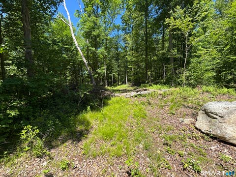 Vacant Land For Sale - 295 Providence Turnpike<br/> Hampton, CT 06247