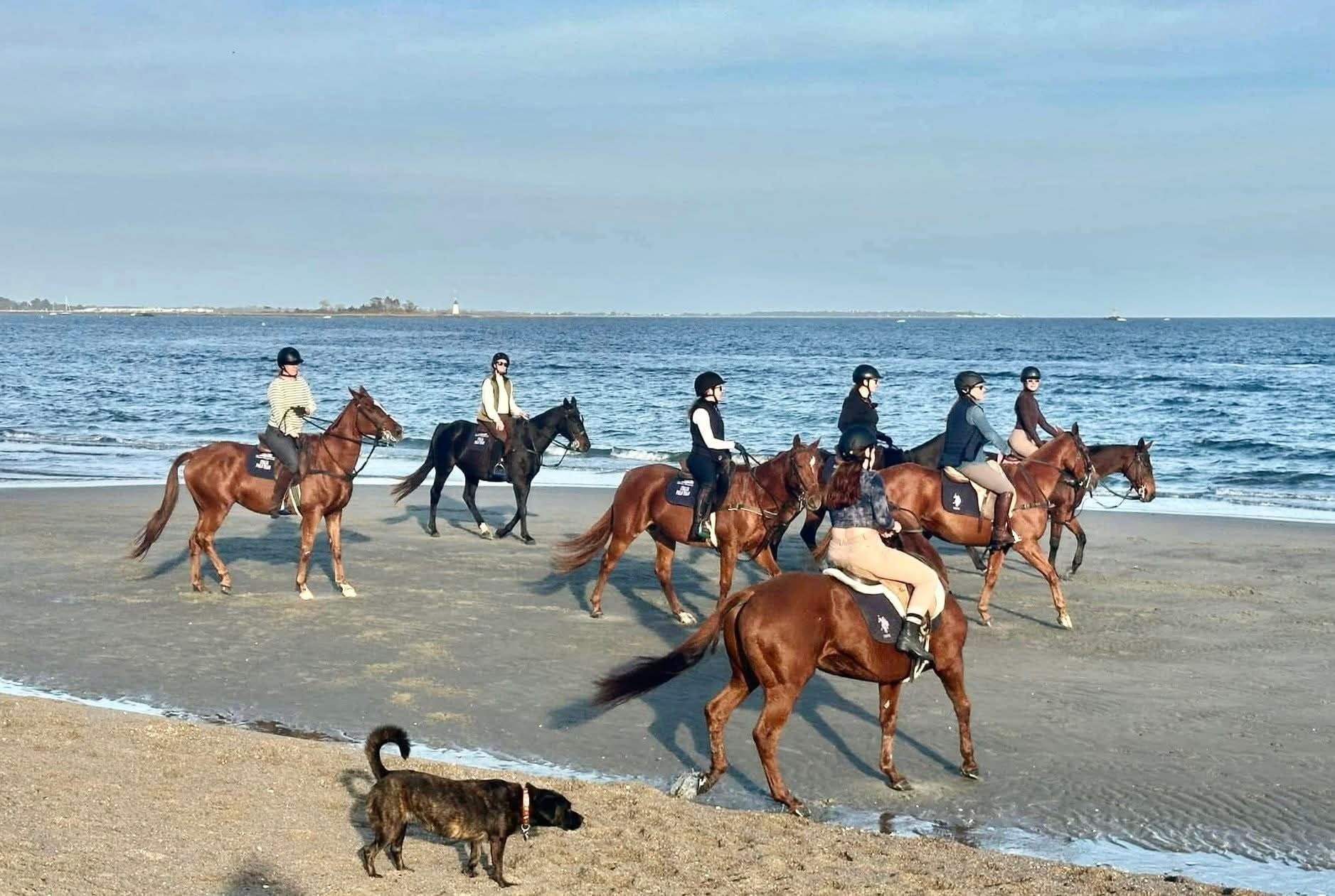 Fairfield, Connecticut 06824, United States, 5 Bedrooms Bedrooms, ,6 BathroomsBathrooms,Residential,Coming Soon,220570