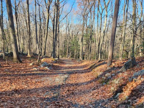 Tiny photo for 11 Judges Hollow Road, Fairfield, CT 06824 (MLS # 24141884)