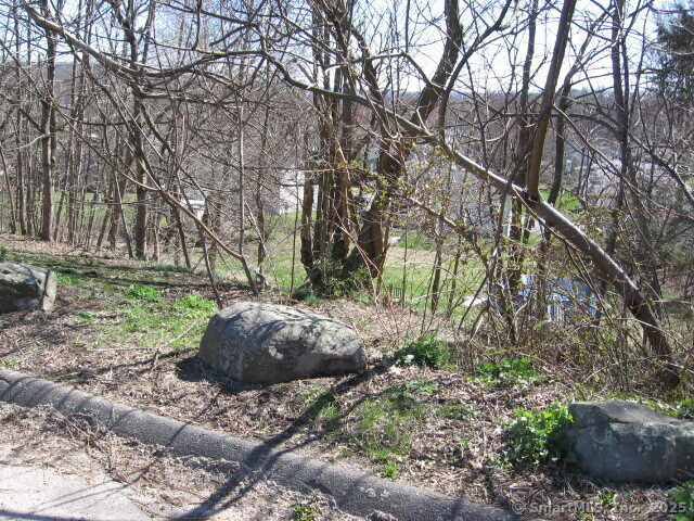 Lots 109010911092 & 109 Roosevelt Drive, Waterbury, Connecticut image 4