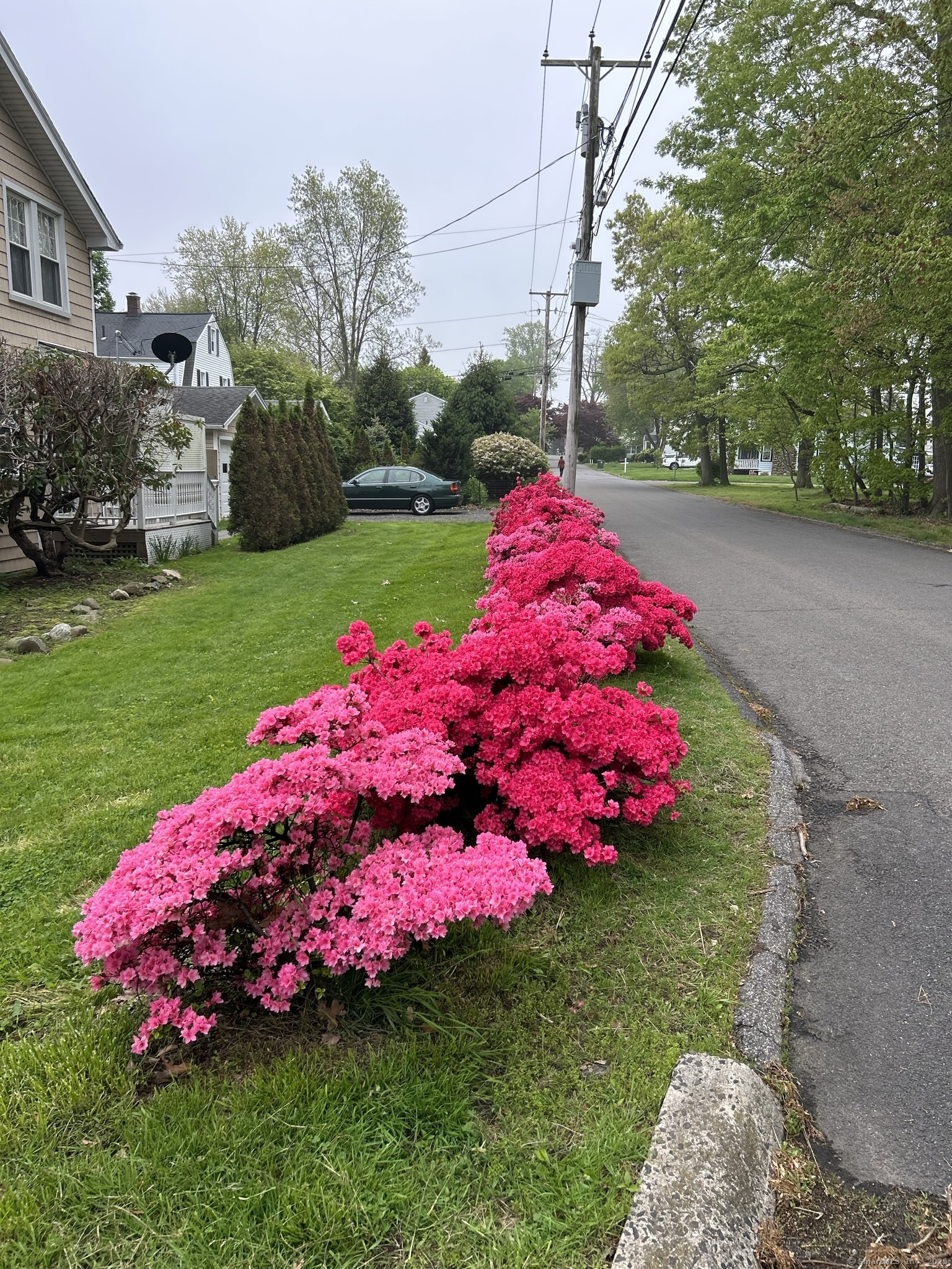46 Norwood Avenue, Milford, Connecticut image 40