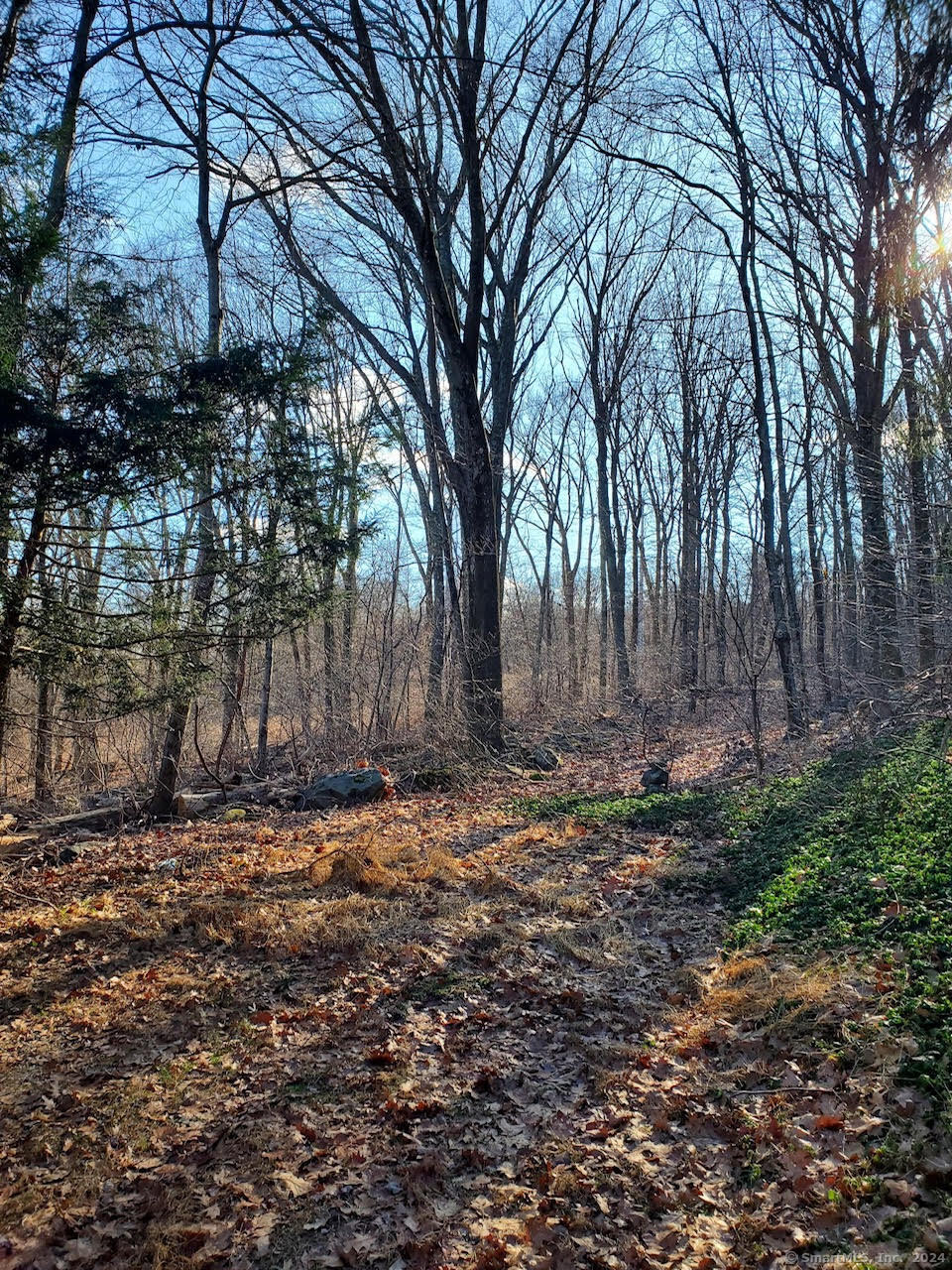Lake Shore Drive, Middlebury, Connecticut image 5