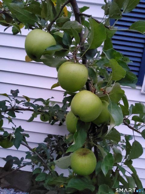 Tiny photo for 43 Bateswood Road, Waterbury, CT 06706 (MLS # 24157866)