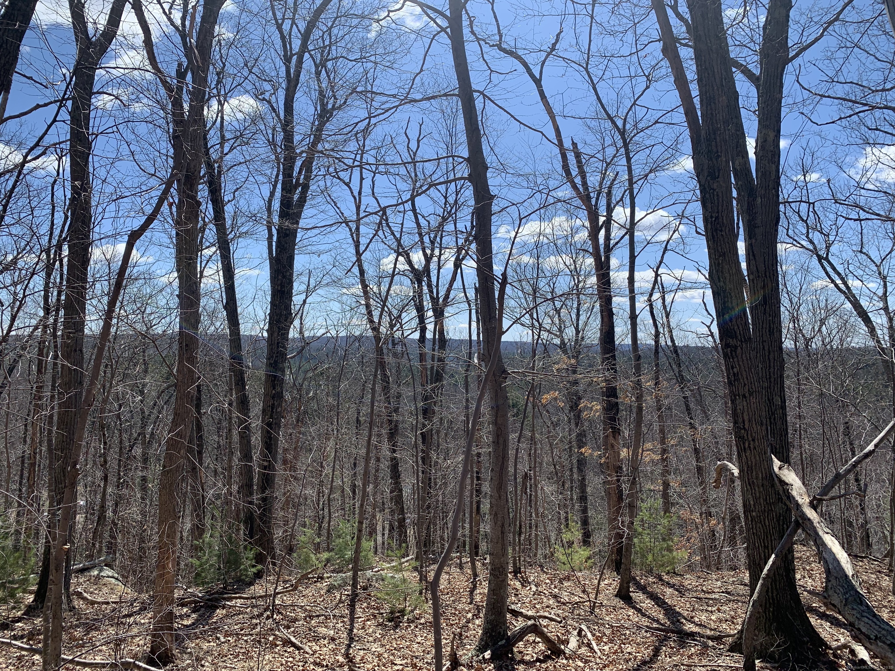 89 Crystal Lake Road #T7, Ellington, Connecticut image 4