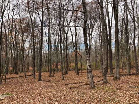 Tiny photo for 10 Gate Post Lane, Litchfield, CT 06790 (MLS # 24137459)