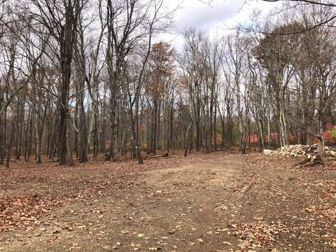 Tiny photo for 10 Gate Post Lane, Litchfield, CT 06790 (MLS # 24137459)