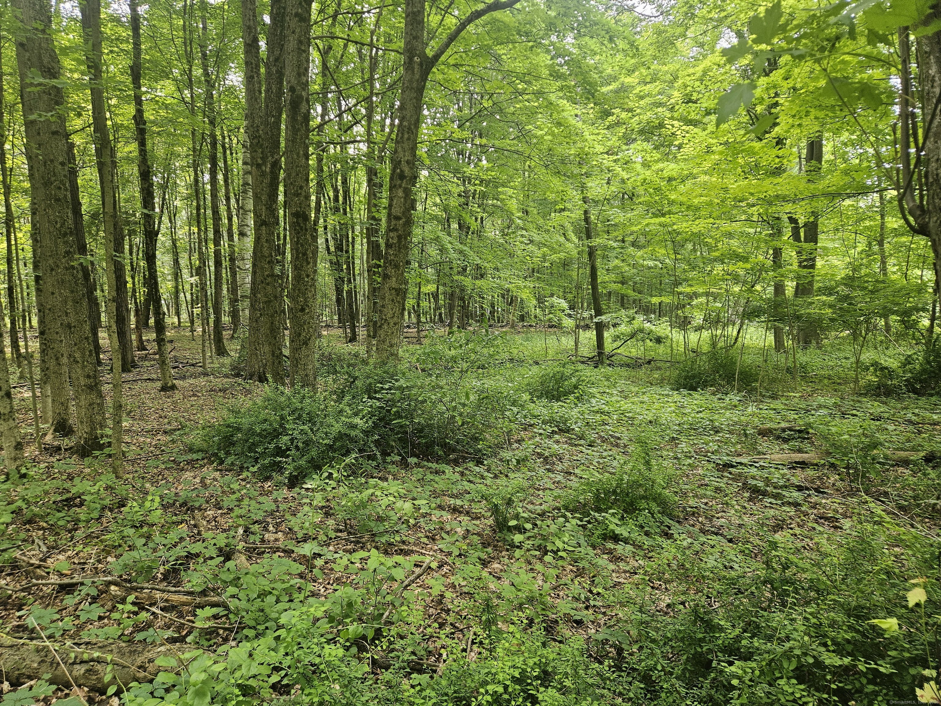 Property for Sale at Taylor Road, New Milford, Connecticut -  - $199,900