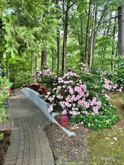 Tiny photo for 1 Butternut Circle #1, Avon, CT 06001 (MLS # 24195844)