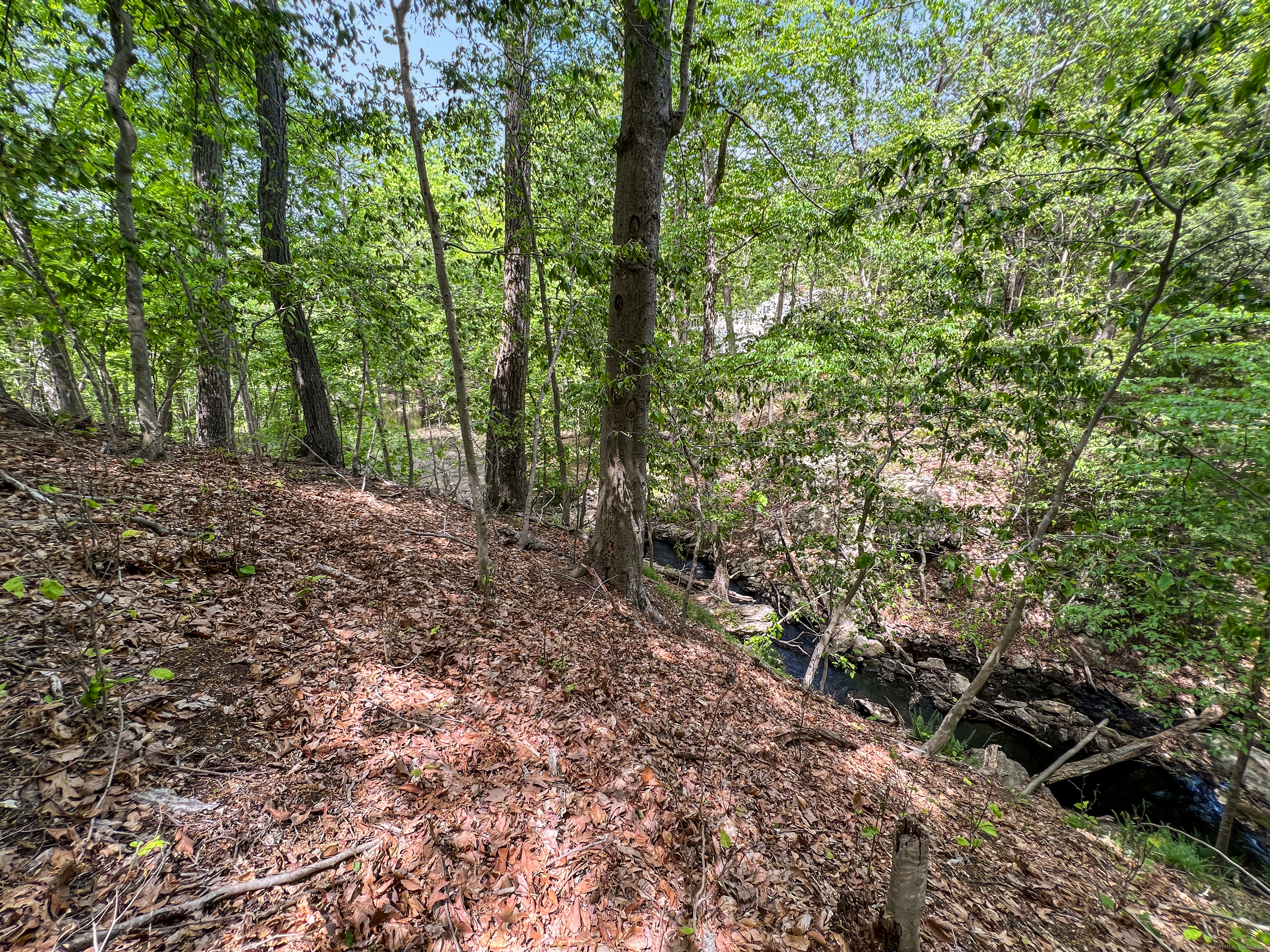 1177 Rock Rimmon Road, Stamford, Connecticut image 37