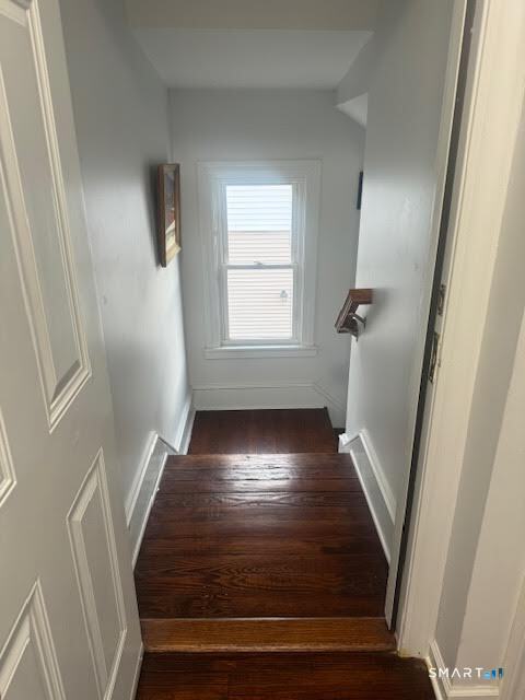 237 Elm Street