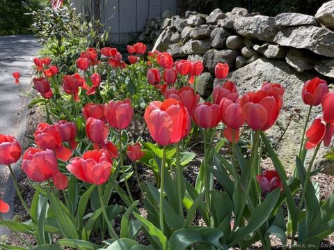 Tiny photo for 256 Mill Road, New Canaan, CT 06840 (MLS # 24132605)