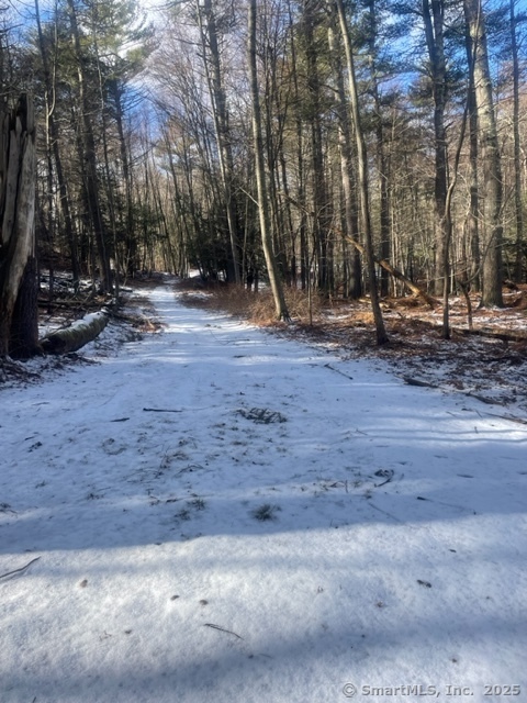 Ruby Road, Willington, Connecticut image 3