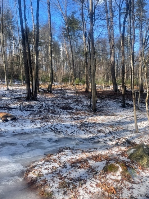 Ruby Road, Willington, Connecticut image 4