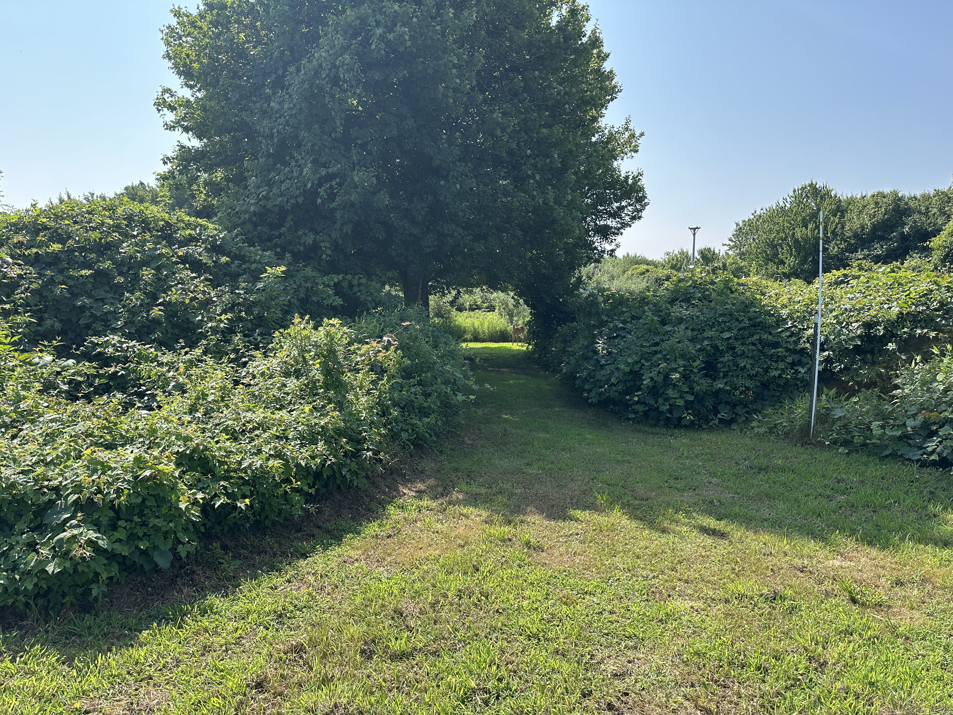 Smail Street, Stonington, Connecticut image 5