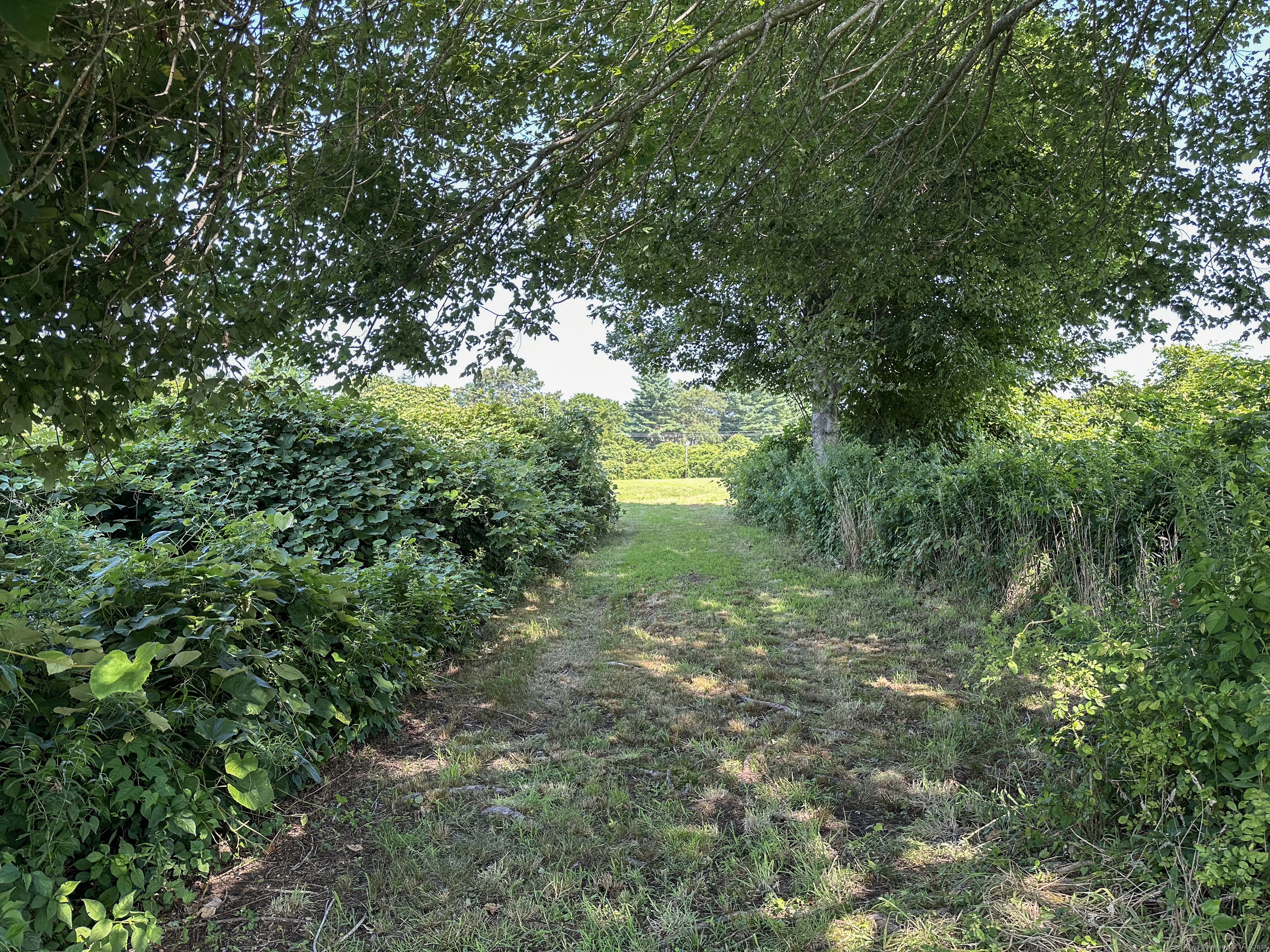 Smail Street, Stonington, Connecticut image 7