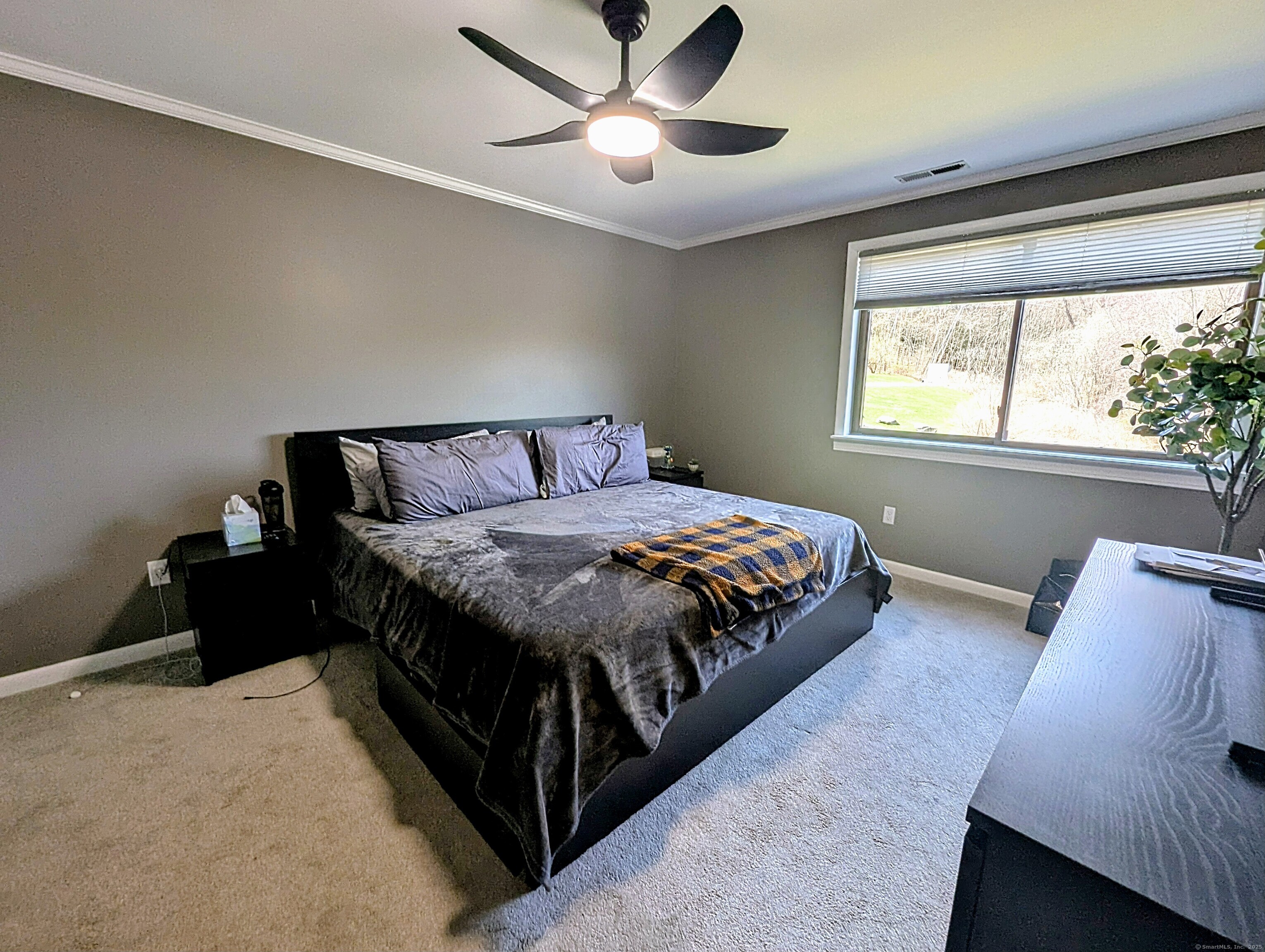 134 Essex Court #134, Beacon Falls, Connecticut image 22
