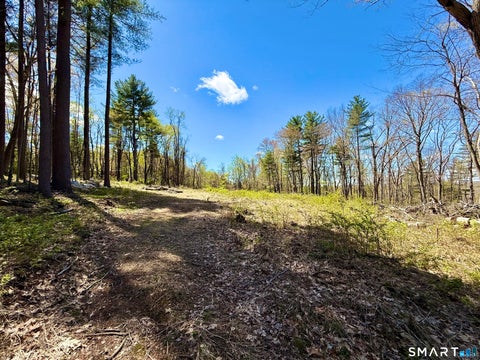 Tiny photo for Clearview Avenue, Harwinton, CT 06791 (MLS # 24206758)