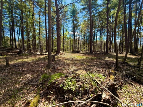 Tiny photo for Clearview Avenue, Harwinton, CT 06791 (MLS # 24206758)