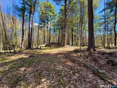 Tiny photo for Clearview Avenue, Harwinton, CT 06791 (MLS # 24206758)