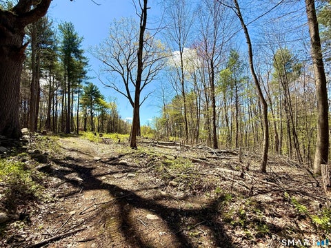 Tiny photo for Clearview Avenue, Harwinton, CT 06791 (MLS # 24206758)
