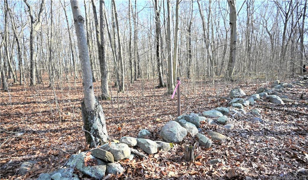 973 Middlesex Turnpike, Old Saybrook, Connecticut image 3