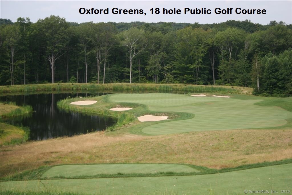 43 Tram Drive, Oxford, Connecticut image 35