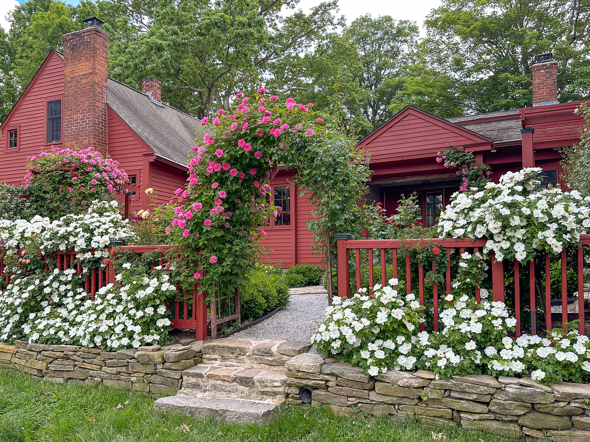 12 Jackson Road