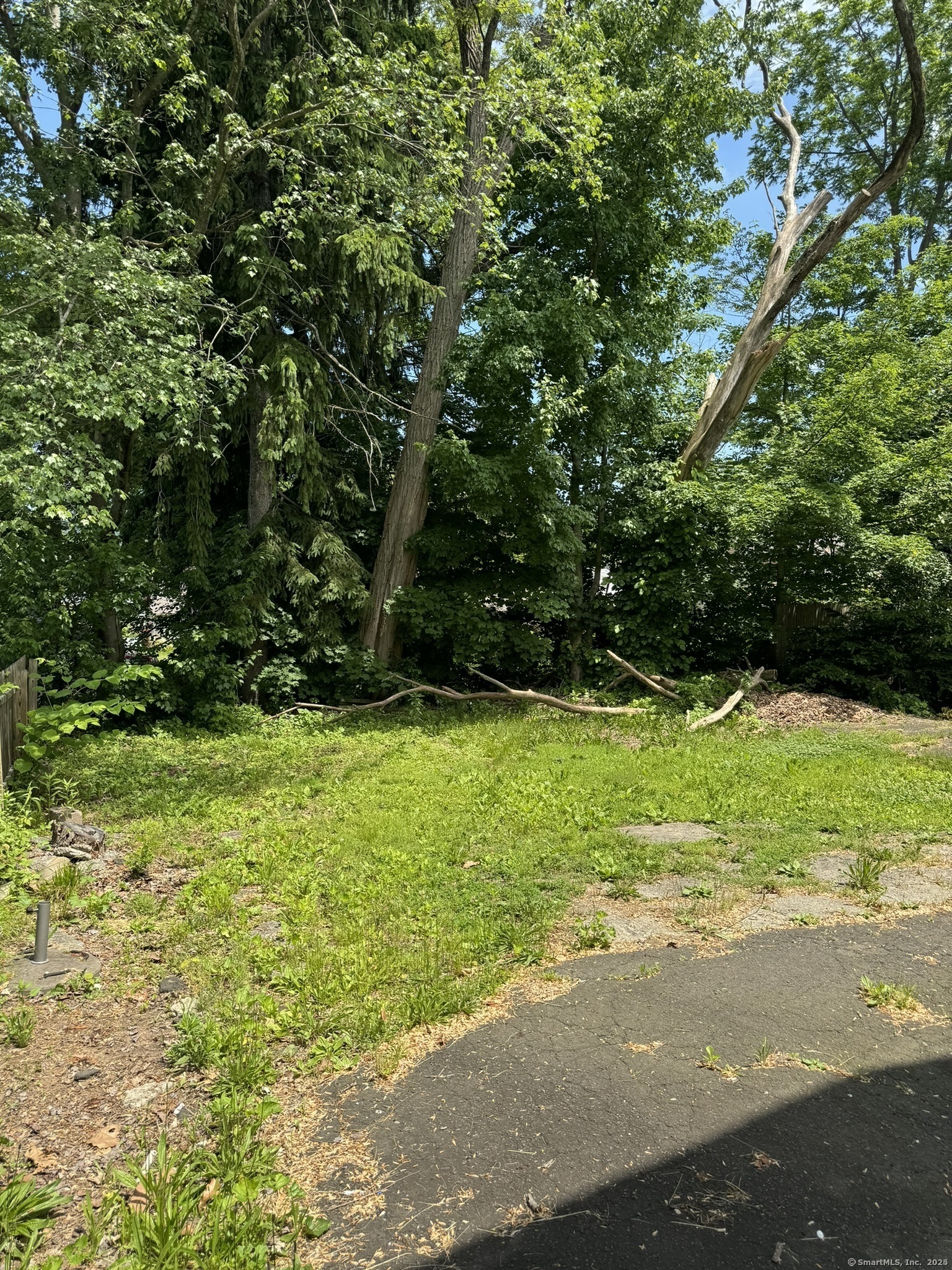 551 Fountain Street, New Haven, Connecticut image 17