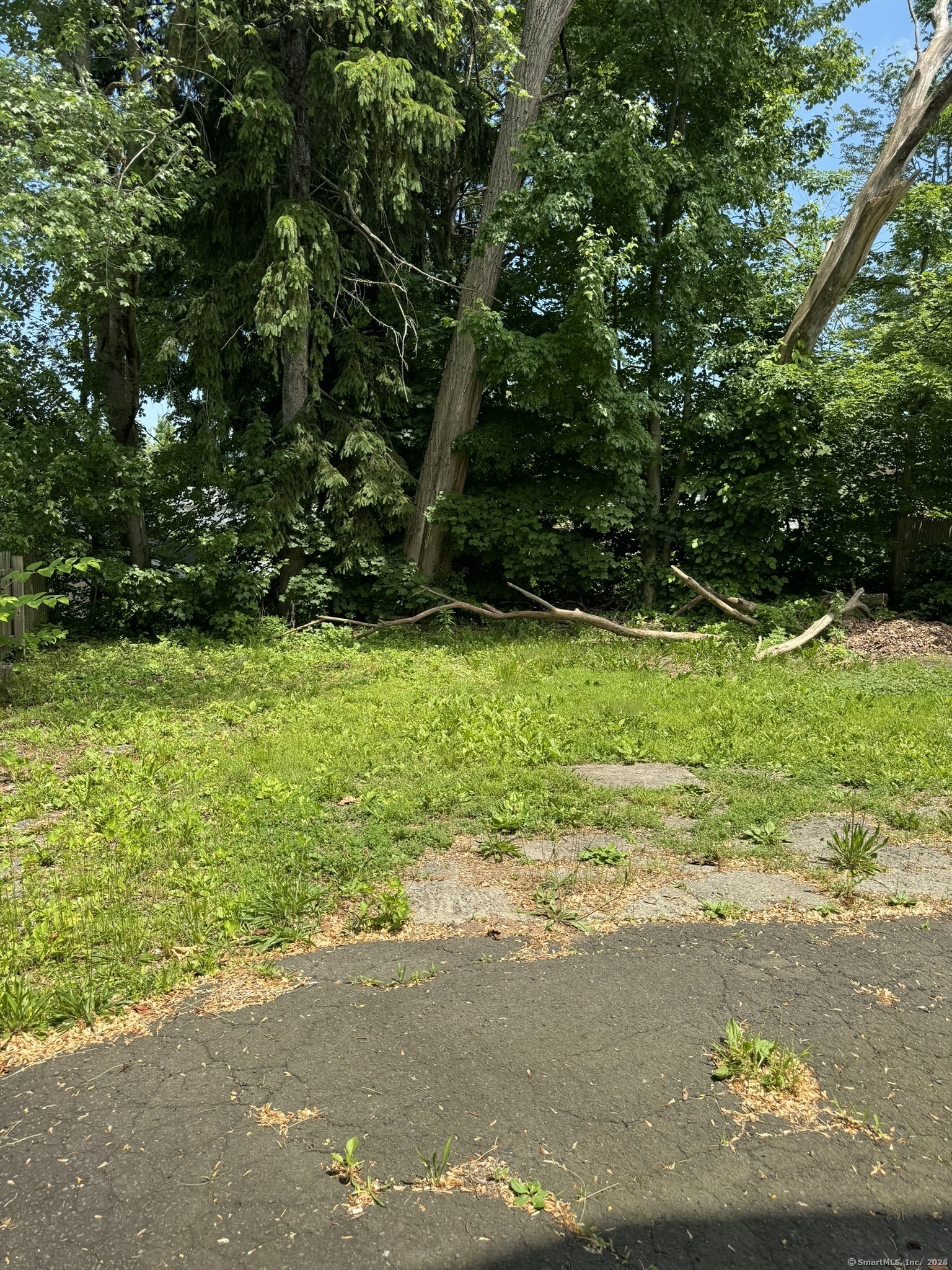 551 Fountain Street, New Haven, Connecticut image 16