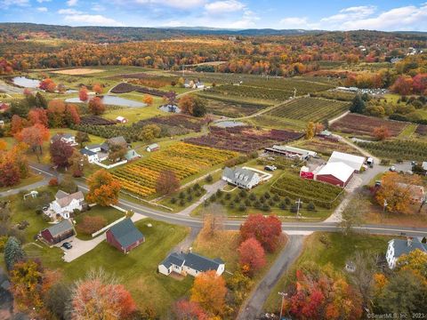 Tiny photo for 450 Matson Hill Road, Glastonbury, CT 06073 (MLS # 24154547)